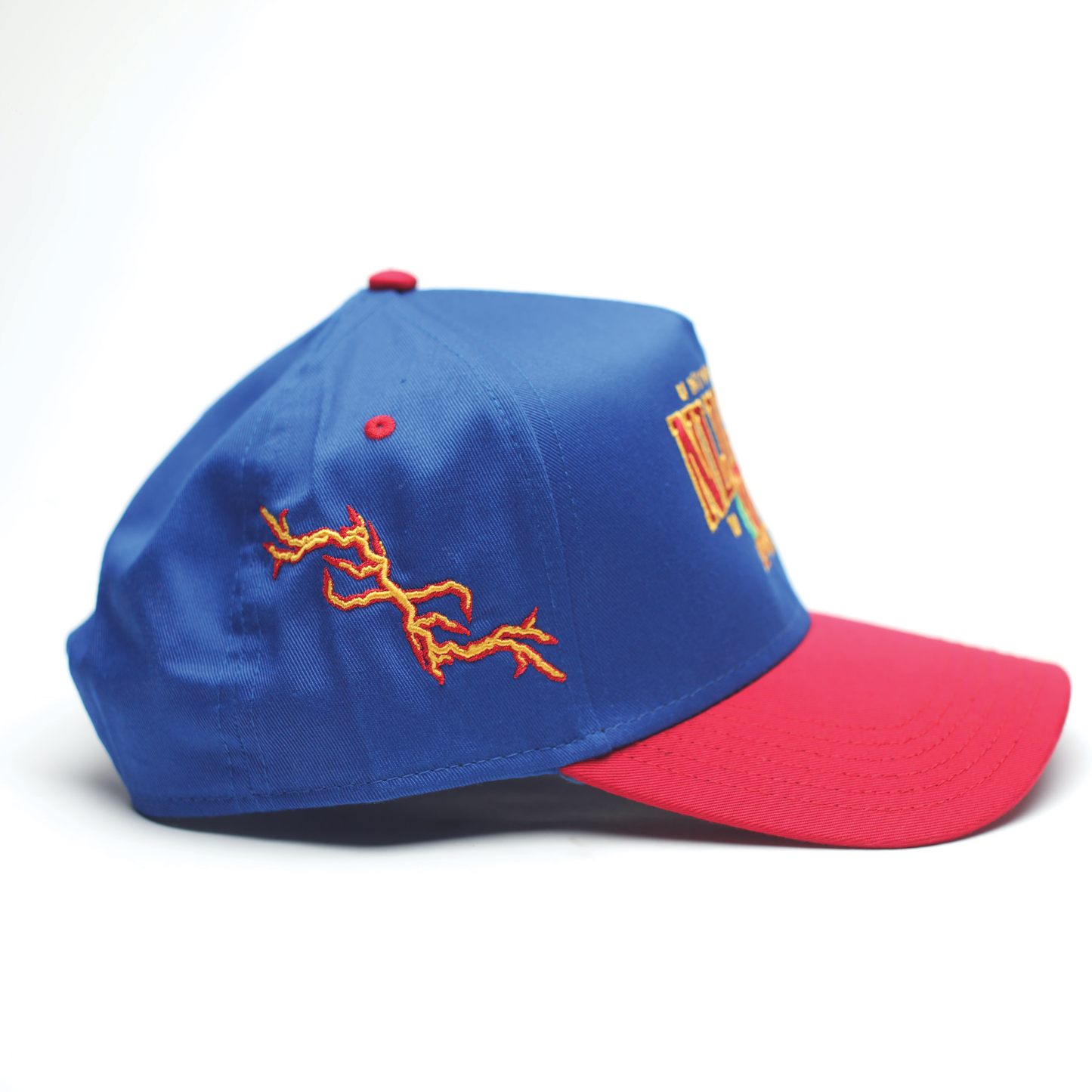 "NLIGHTN UNIVERSITY" CAP