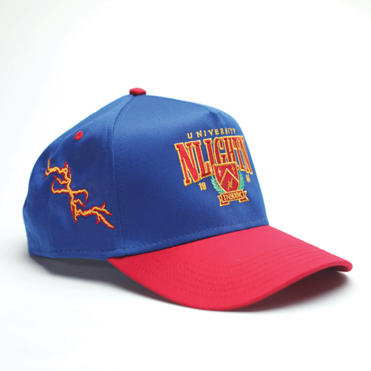 "NLIGHTN UNIVERSITY" CAP