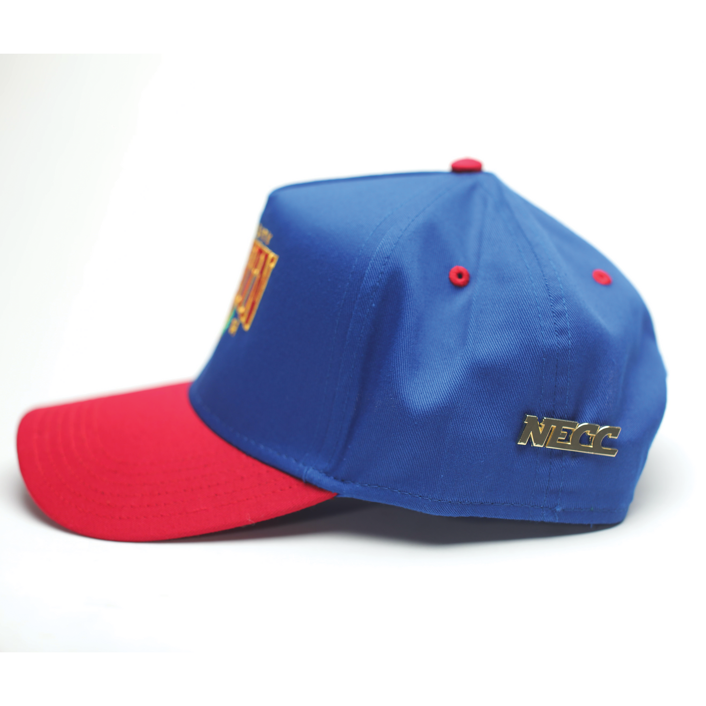 "NLIGHTN UNIVERSITY" CAP