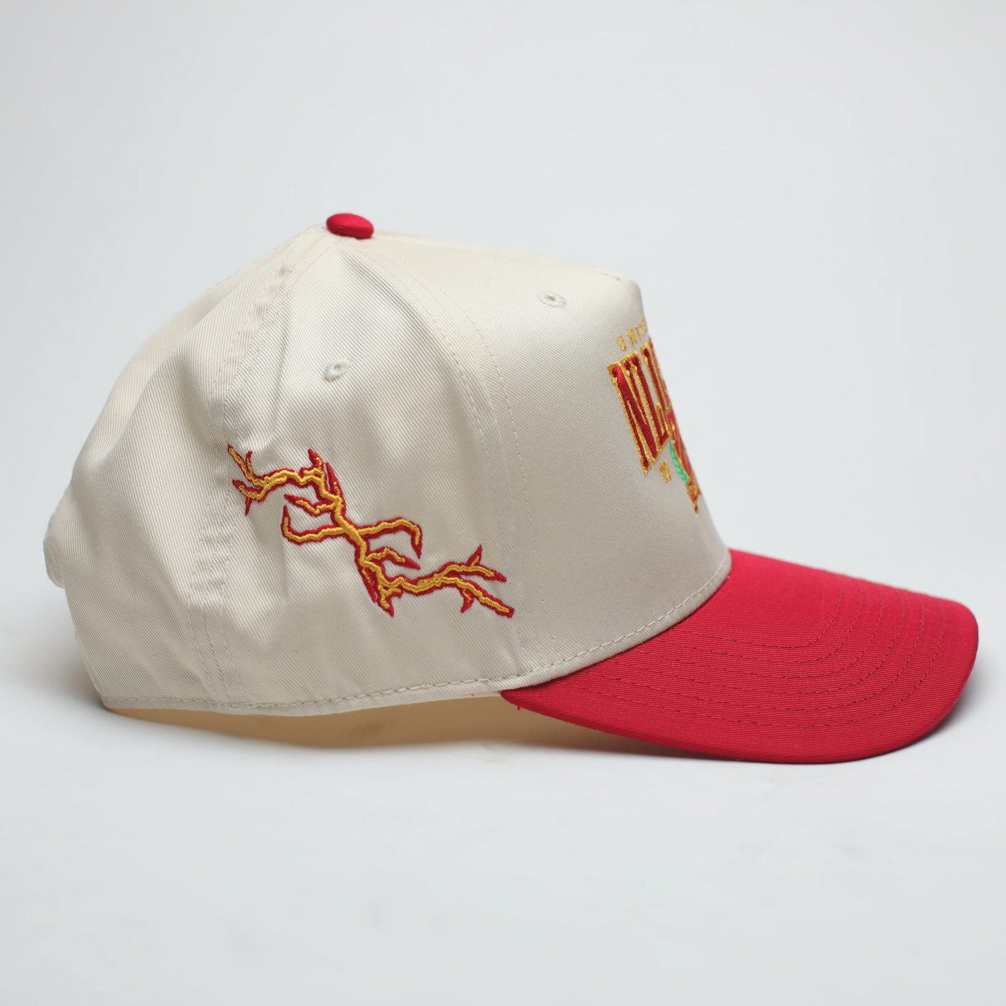 "NLIGHTN UNIVERSITY" CAP