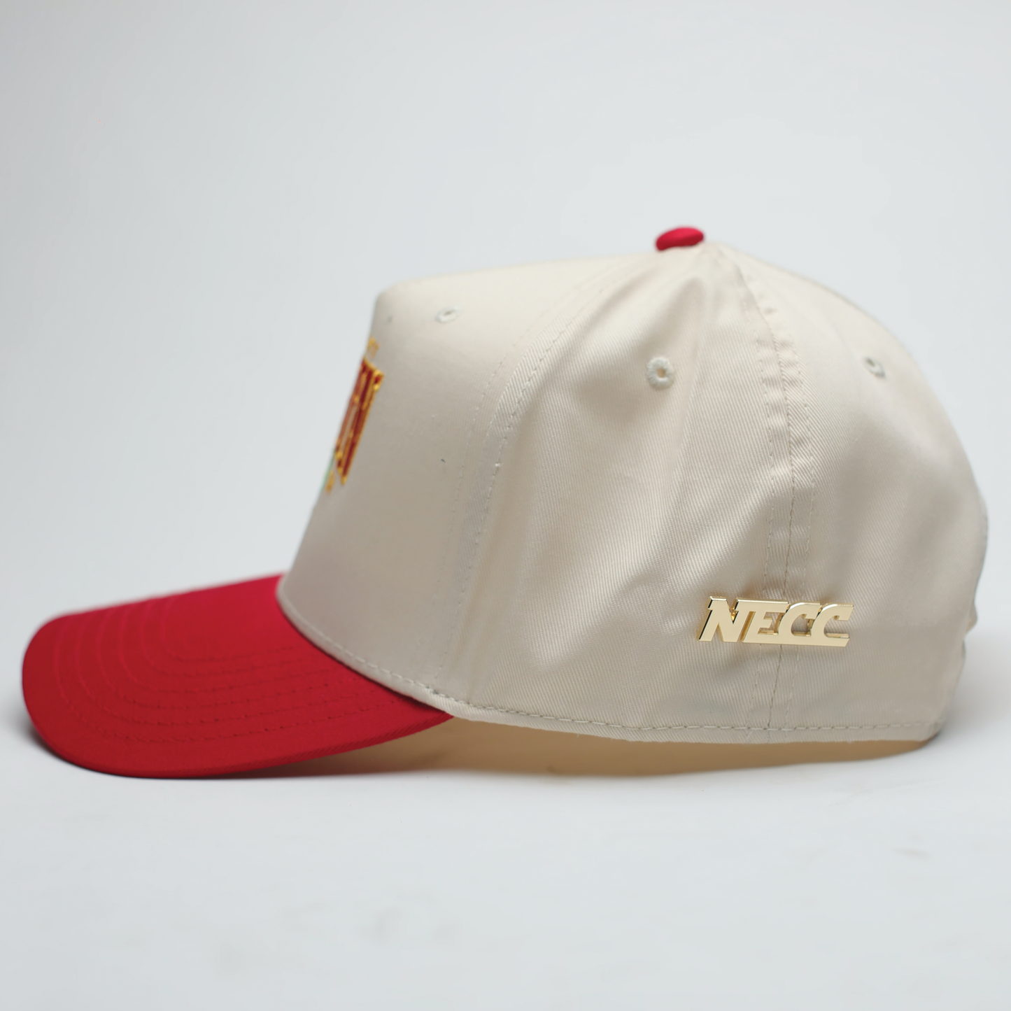 "NLIGHTN UNIVERSITY" CAP
