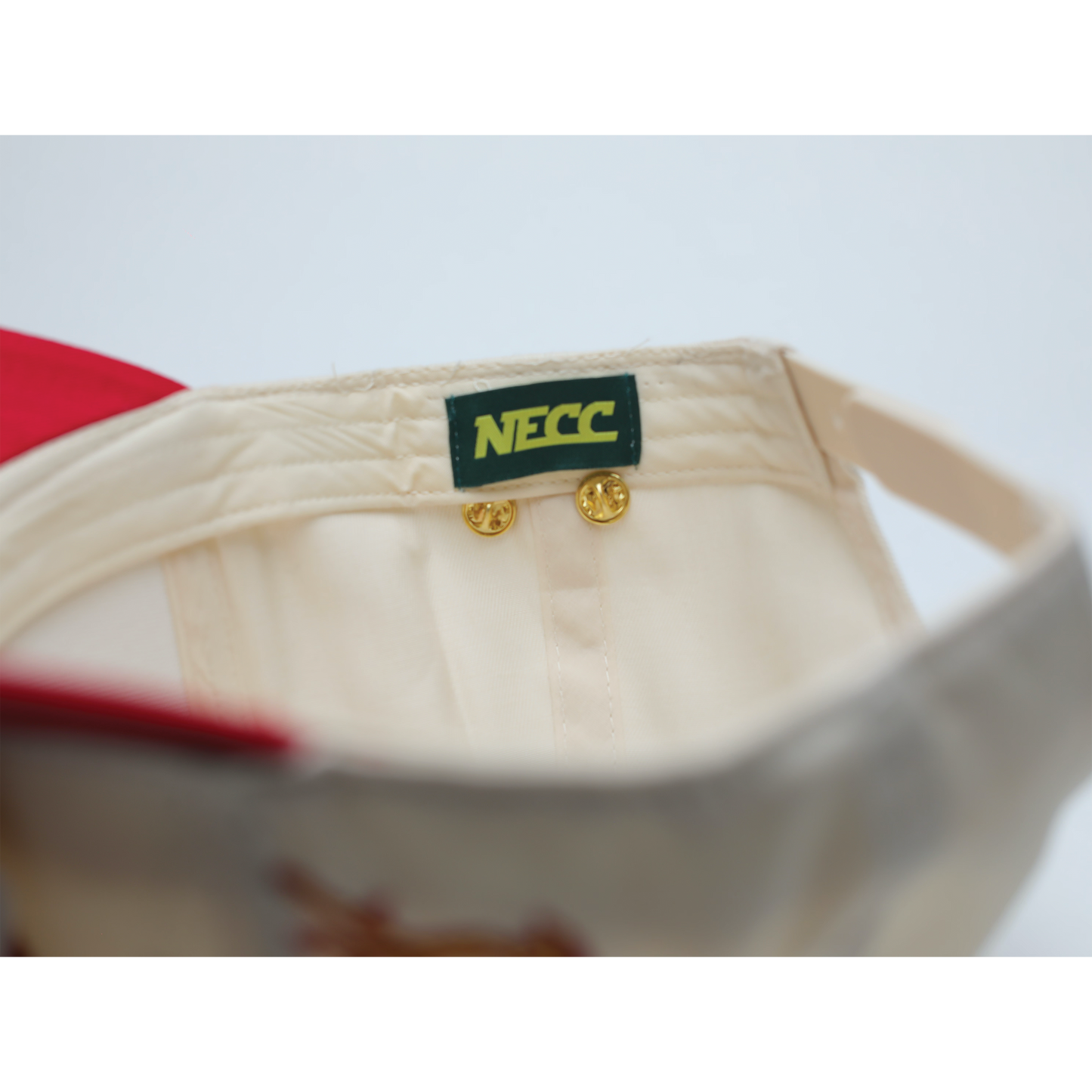 "NLIGHTN UNIVERSITY" CAP